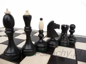 Pièces de tournoi noires et claires